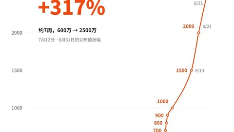 朱啸虎投资失误：关键点分析